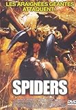 Spiders