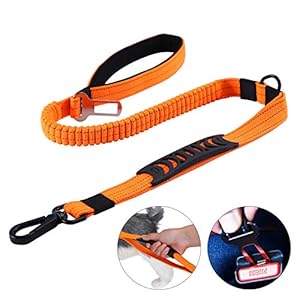 HAPPY HACHI Correas de Adiestramiento para Perros Nylon Correa Reflectantes Elástica para Perros Medianos Grandes con 2 Manijas Blandas Cinturón de Seguridad para Perros (longitud 110-150 cm, Naranja)