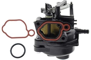 Haplws 799584 Carburateur de Tondeuse adapté au Moteur Briggs Stratton 9P702 09P702 550EX avec 2 Joints