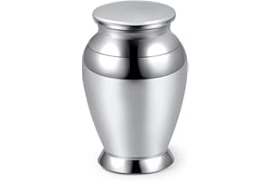 JSDDE Petite Urne pour Cendres Humaines en Acier Inoxydable Mini Urne Crémation Porte Cendre Chien Chat Animaux Clous Poils Conteneur Funéraire Graver Prenom Personnalisé Souvenirs Décoration (Argent)
