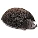 Produktbild Inconnu Bürste zu Schuh Igel aus Gusseisen und Coco