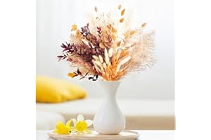 YZROHYI 64 Piezas Flores Secas Naturales,Hierba de Pampas Secas Decoracion,Flor Seca Natural,Plantas Secas Decorativas,Flores Secas Manualidades,Dried Flowers Bouquet para Home Decor, Bodas Fiesta