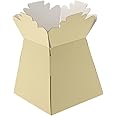 APAC 5 x Ivory Living Vase Flower Box Flower Bouquet Transporter, Sweet Tree Box