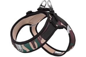 WINHYEPET Truelove Dog Harness Soft Mesh Reflective Breathable Step-In Dog Harness,Easy Adjustment Harness with Safety Buckle for Extra Small and Small Dogs, Vest Harness TLH3013(Camouflage,M)