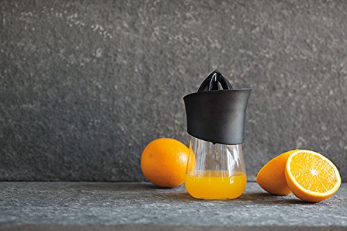 XD Design P261.181 Press Handsaftpresse mit 2 Aufsätzen und Glaskaraffe - 10