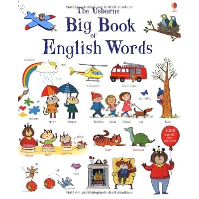 BIG BOOK OF ENGLISH WORDS