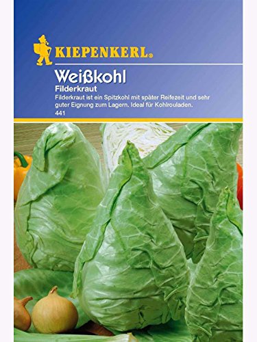Weisskohl Spitzkohl Filderkraut spät
