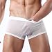 Produktbild Swallowuk Männer Sexy Dessous Unterwäsche Herren Transparente Slips G-Strings Tanga Erotik Reizwäsche Unterhosen Netzgarn Mesh Boxershorts (L, Weiß)