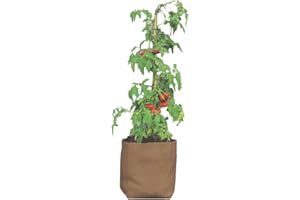 Haxnicks Hemp Planter | 30L | HEMP030101, Brown