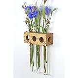 Fenstervase Buche gestockt 3er Blumenvase Test Tube Vase Flower Vase
