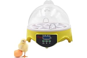 MUALROUS 7 Incubador de huevos digital con regulación automática de la temperatura para gallinas con bandeja para huevos, enchufe de la UE