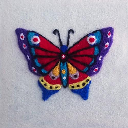 Handidi DIY Needle Felting Starter Kit,Wool Felt,Needle Craft Kit,DIY Gift, Colorful Butterfly FT-004, Size 6 in X 6in