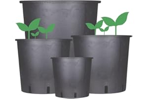 WEEDNESS Maceta redonda de plástico de 19 litros 32 x 30 cm - Maceta de planta cuadrada Maceta de cultivo