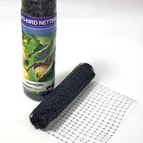 Vogelschutznetz Teichnetz Kunststoffnetz 2 x 10m (10 x 12mm) schwarz