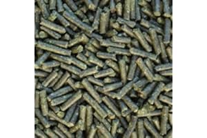 CATAPPA-LEAVES Spinach sticks, 50 g pellets for shrimp crabs snails & co, foodsticks