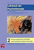 Lehrbuch der Psychotherapie, Bd.2 : Psychoanalytische und tiefenpsychologisch fundierte Therapie by 