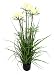 Produktbild Flair Flower Papyrusgras im Topf, Plastik, weiß, 120 x 40 x 40 cm