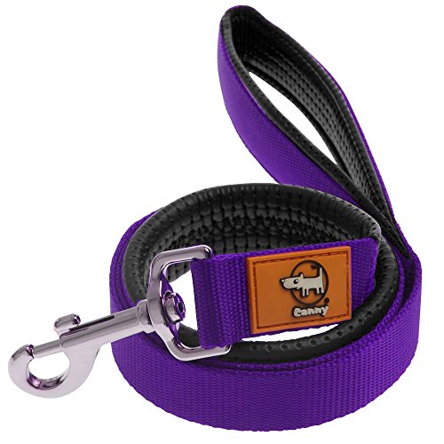 Canny - Correa de 1.20 m de largo para perros (15mm x 1.2m) (Púrpura)