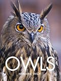 Image de Owls