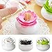 Bluelans® White Lotus Shape Cotton Swab Holder Cotton Bud Toothpicks Storage Organizer Case Box for Bathroom (Black)