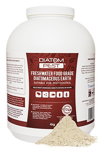DiatomPest® Grado Pest Tierra Diatomácea 4kg | Diatomaceous Earth | Diatom