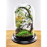 Terrarium