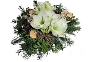 ‎FLORA TRANS Flora Trans frischer Strauß - mit Amarylles - Blumenstrauß mit Grußkarte
