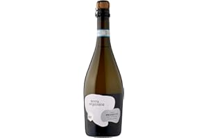 Terra Organica Prosecco D.O.C. 10.5% ABV, 1 x 75cl - Italian Light and Extra Dry Sparkling Organic Prosecco - Award Winning Prosecco - Produced by Family Run Winery - Makes for a Great Prosecco Gift