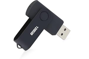 FINEWISH CLé USB 128Go, Cle USB Pen Drive USB 2.0 Mémoire Stick 128Go Thumb Drive pour PC, TV, Voiture, Ordinateur Portable etc (Noire)