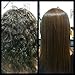 MARROQUINA REAL – BRAZILIAN KERATIN THERMAL SHIELD (1000ml 35.27 fl. oz.)