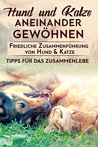 Hund Und Katze Aneinander Gewöhnen Friedliche Zusammenführung Von Hund Katze Tipps Für Das Zusammenleben