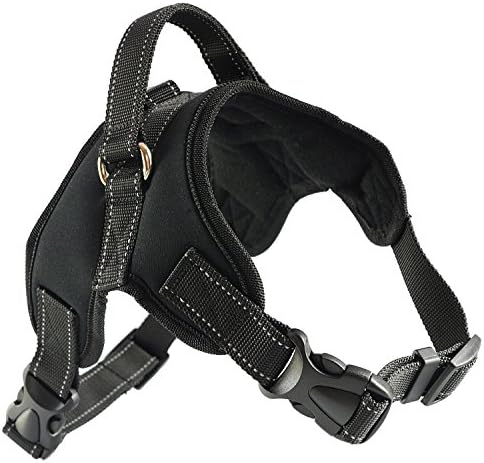 Roughtail Pet Supplies Dog Harness with Reflective Material Keeps Your Pet Safe While Walking and Car Rides