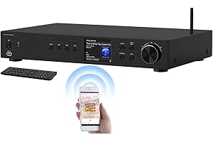 VR-Radio WLAN Radio: Digitaler WLAN-HiFi-Tuner, Internetradio, DAB+, Bluetooth, schwarz (DAB Receiver, DAB Radio mit Cinch Ausgang, Kopfhörer Adapter)