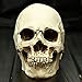 Produktbild Halloween Kleine Menschlicher Schädel Replica Scary Horrible Halloween Dekoration