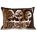 Produktbild Ancient Alien Artifact Pillow Sham Decorative Standard Size Pillow Case Cushion Cover (Compass) 20"x 30"(Twin Side)