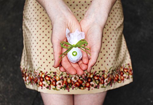 Seedball Gastgeschenk mit Herz, apfel - 2