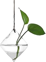 Gaddrt Plant Transparent Vase Creative Hanging Glass Ball Vase Flower Plant Pot Terrarium Container for Party Wedding...