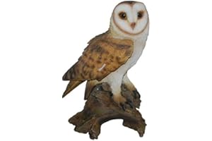 Vivid Arts barbagianni Resina Ornamento