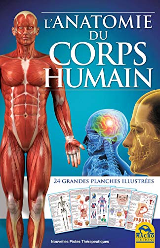 L'anatomie du corps humain: 24 grandes planches illustrées. L'anatomie du corps humain: 24 grandes planches illustrées.