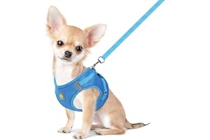 FEimaX Dog Harness with Lead for Small Dogs, Cats, Soft Mesh Puppy Harness, Breathable Chest Harness, Adjustable, Reflective, No Pull Vest, Chihuahua, Cat