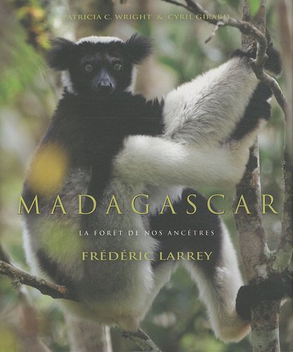 Madagascar : La forêt de nos ancêtres en ligne Madagascar : La forêt de nos ancêtres en ligne