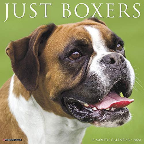 Télécharger Just Boxers 2020 Calendar PDF Ebook En Ligne