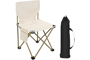 COLDCHILL Chaise de camping pliable ultralégère pour la pêche, la randonnée, le pique-nique, le camping, les voyages, la plage, la pêche, la pelouse, le concert, chaise de camping pliable, 44 x 30 x 10 cm