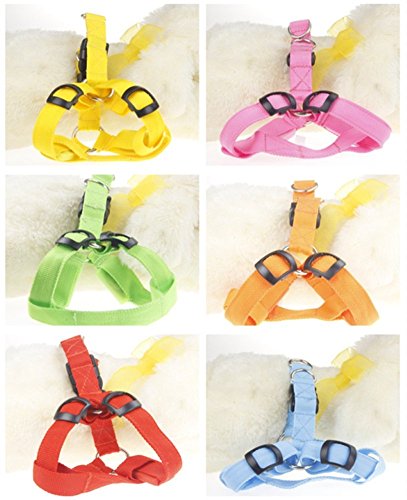 Strong-Rope-Dog-Training-Leads-And-Harnesses-Set-Blue-Small