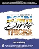Photoshop Elements 3 Down & Dirty Tricks (Voices That Matter) by 