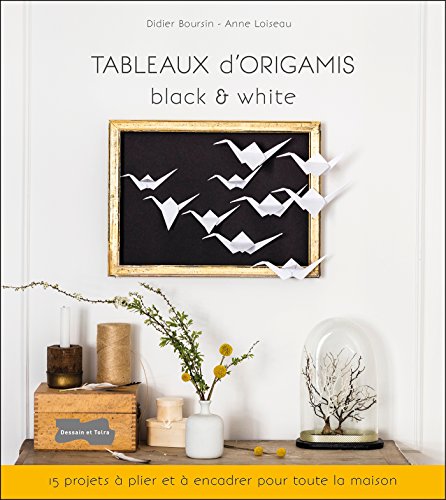 couverture de : Tableaux d'origamis black & white