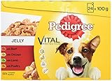Pedigree  Dog Pouches Real Meals in Gravy, 24 x 100 g - Pack of 2 (Total 48 Pouches) (Misc.)