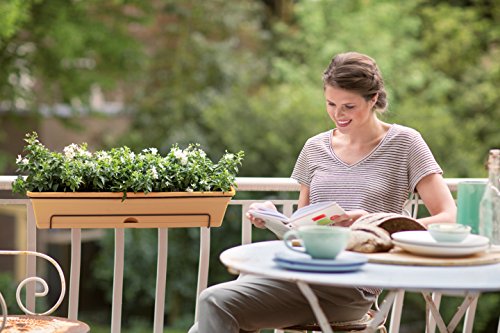 elho Green Basics Balkonkasten All-in-One Geländertopf 50cm – Lebhaft Schwarz - 3