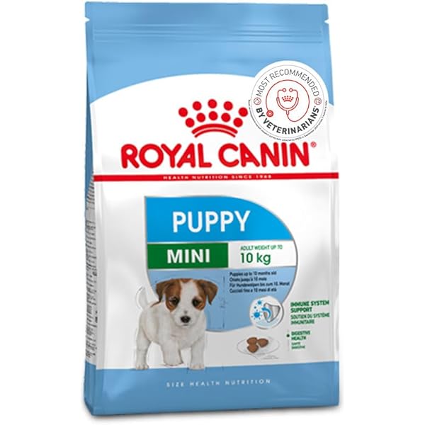Royal Canin Mini Adult Dog Food, 2 Kg, Dry Food, Supports Weight