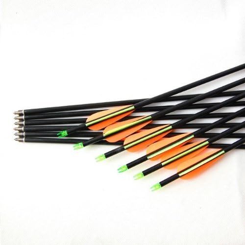 CNSE Arrow Precision 31" Fiberglass Arrows Practice/Hunting Archery- 12 Pack